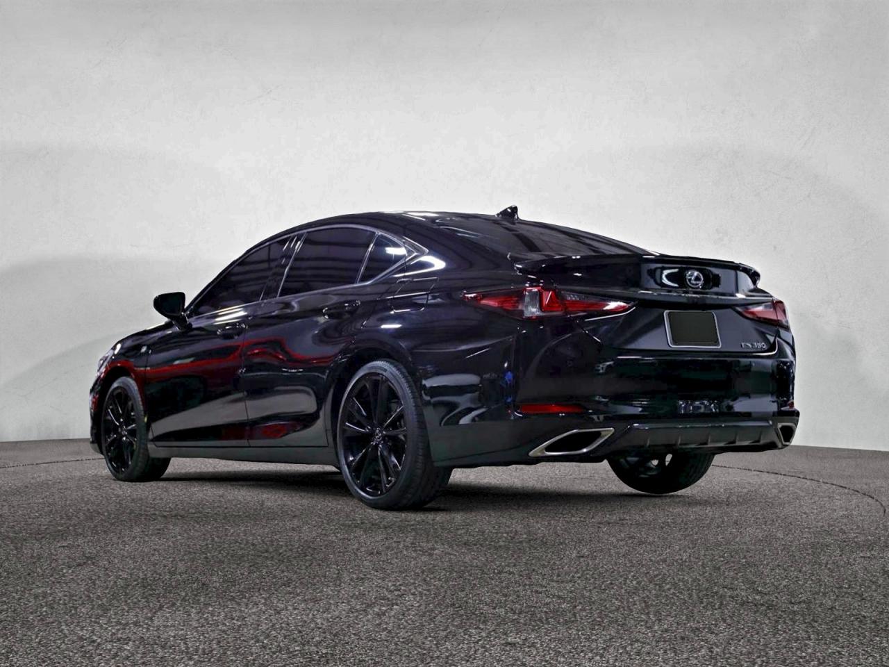 2024 LEXUS ES 350 F SPORT HANDLING photo 3