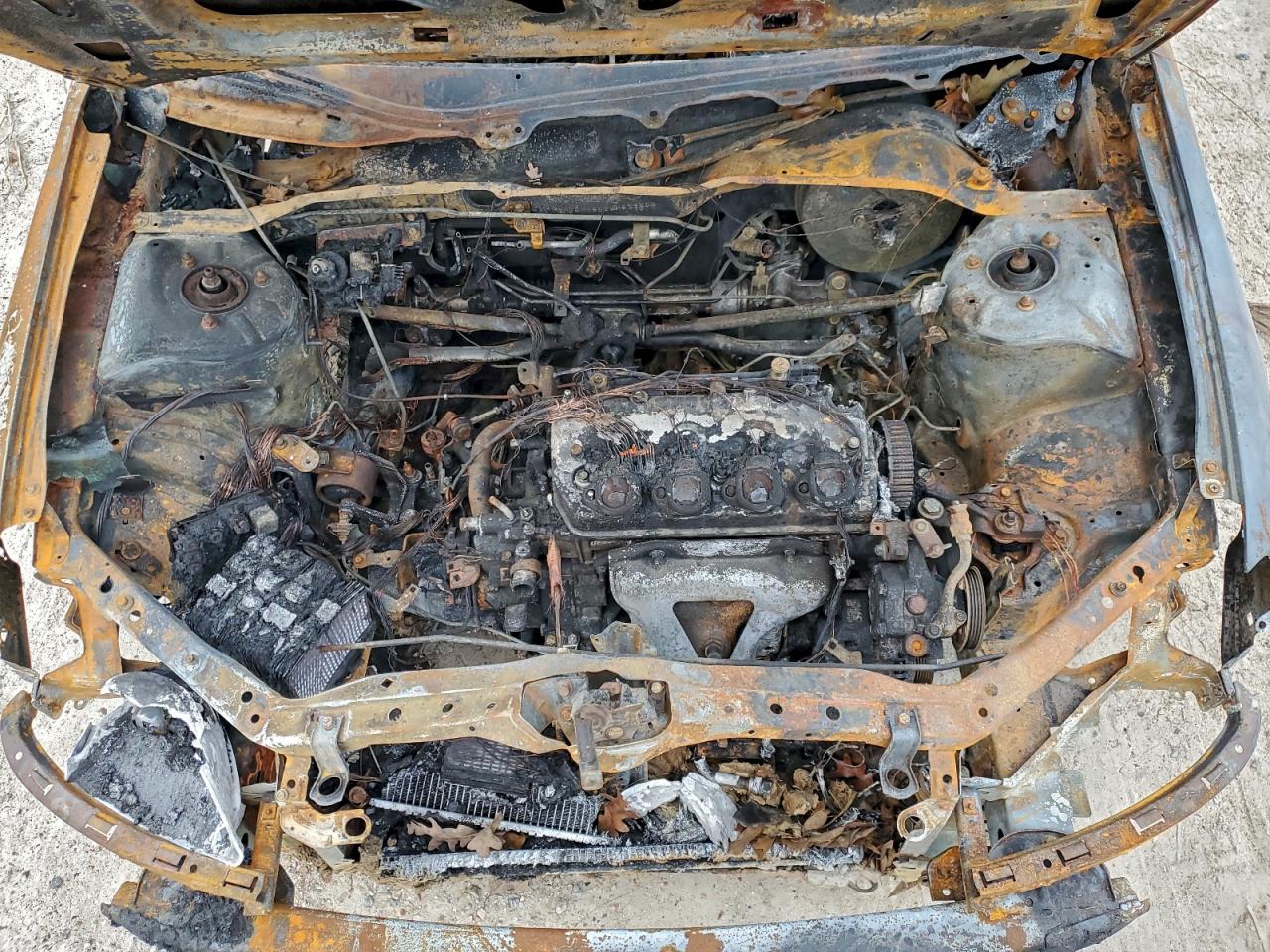 2002 HONDA CIVIC LX photo 11