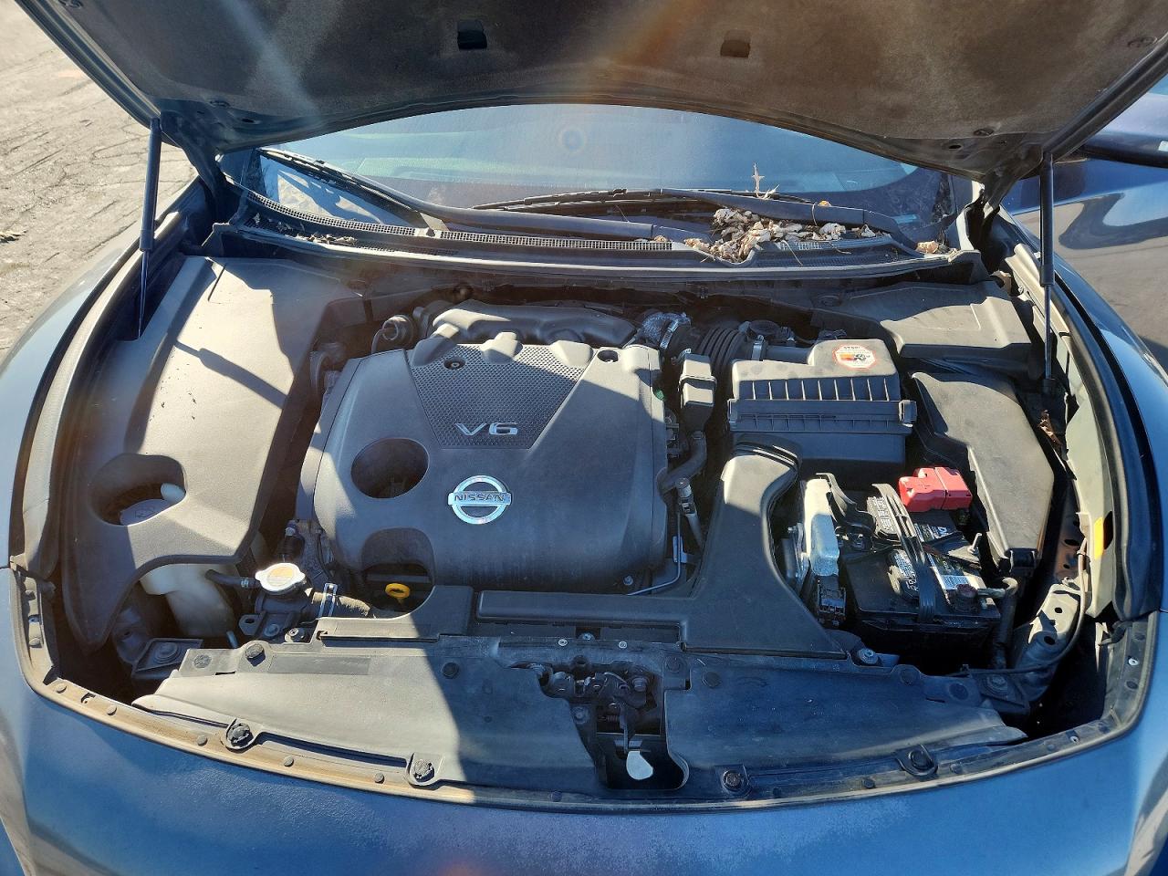 2010 NISSAN MAXIMA S photo 11