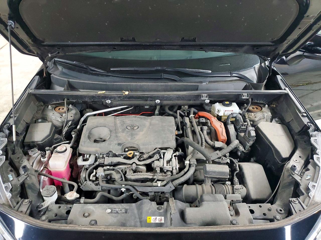 2019 TOYOTA RAV4 XLE photo 12