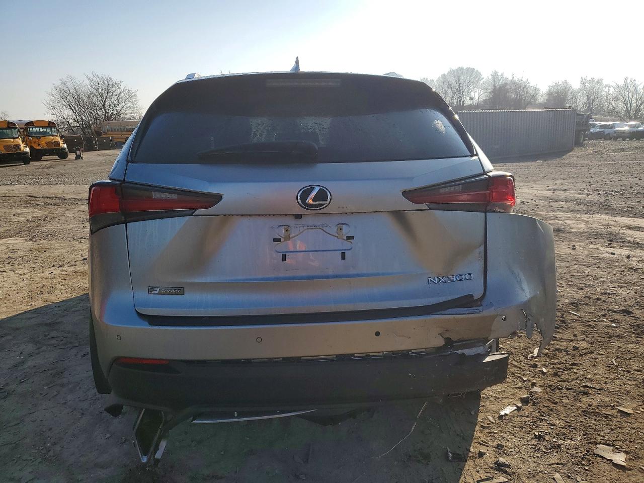 2020 LEXUS NX 300 F SPORT photo 6