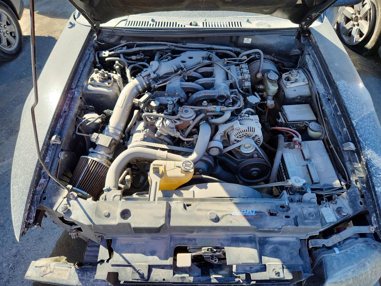 1999 FORD MUSTANG photo 12