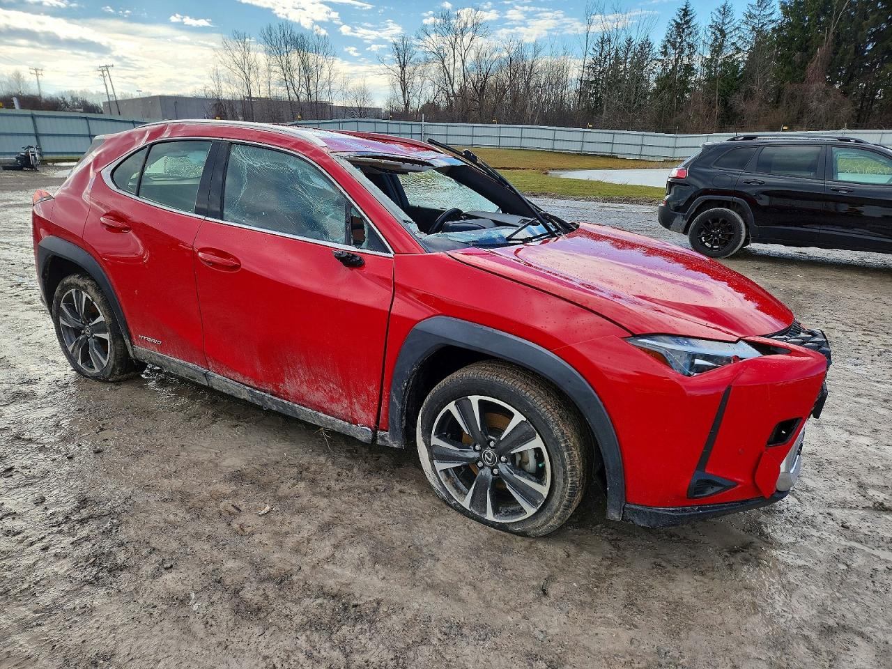 2019 LEXUS UX 250H photo 10