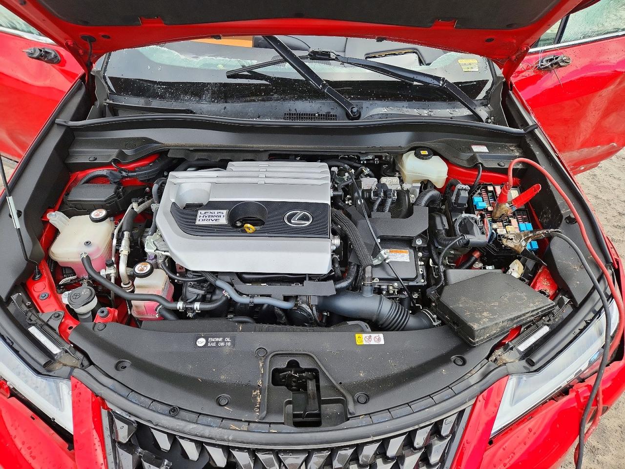 2019 LEXUS UX 250H photo 31