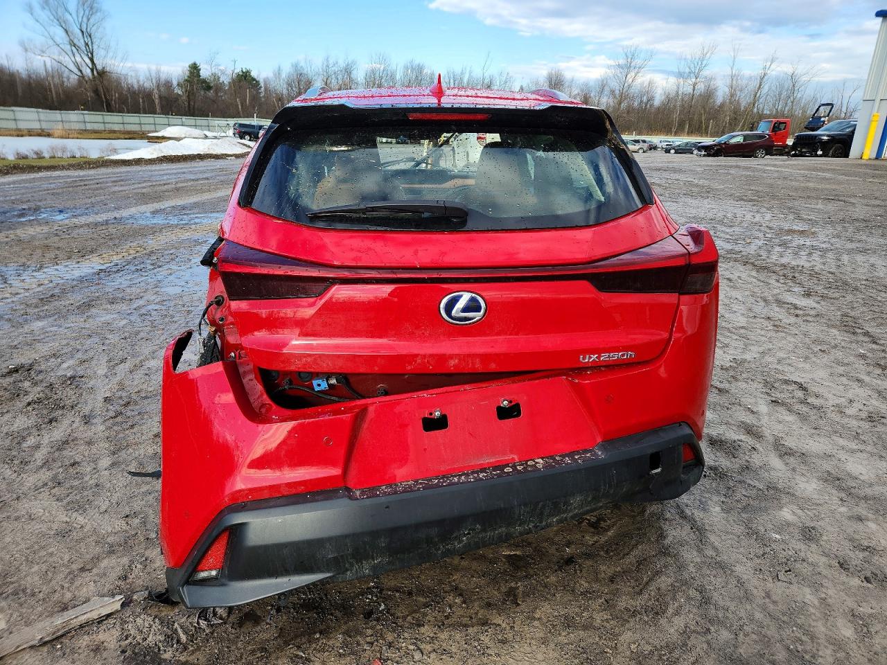 2019 LEXUS UX 250H photo 16