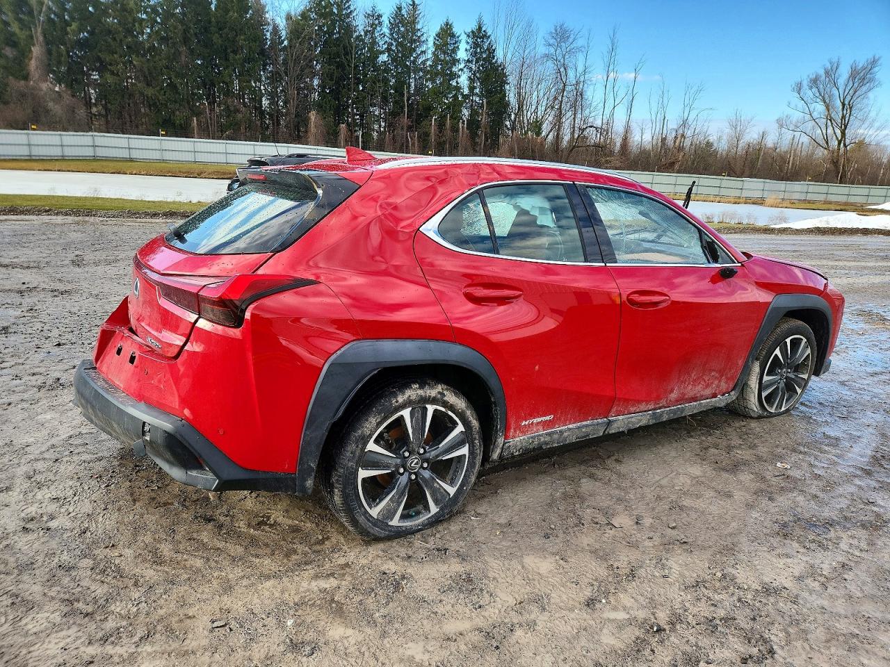 2019 LEXUS UX 250H photo 7