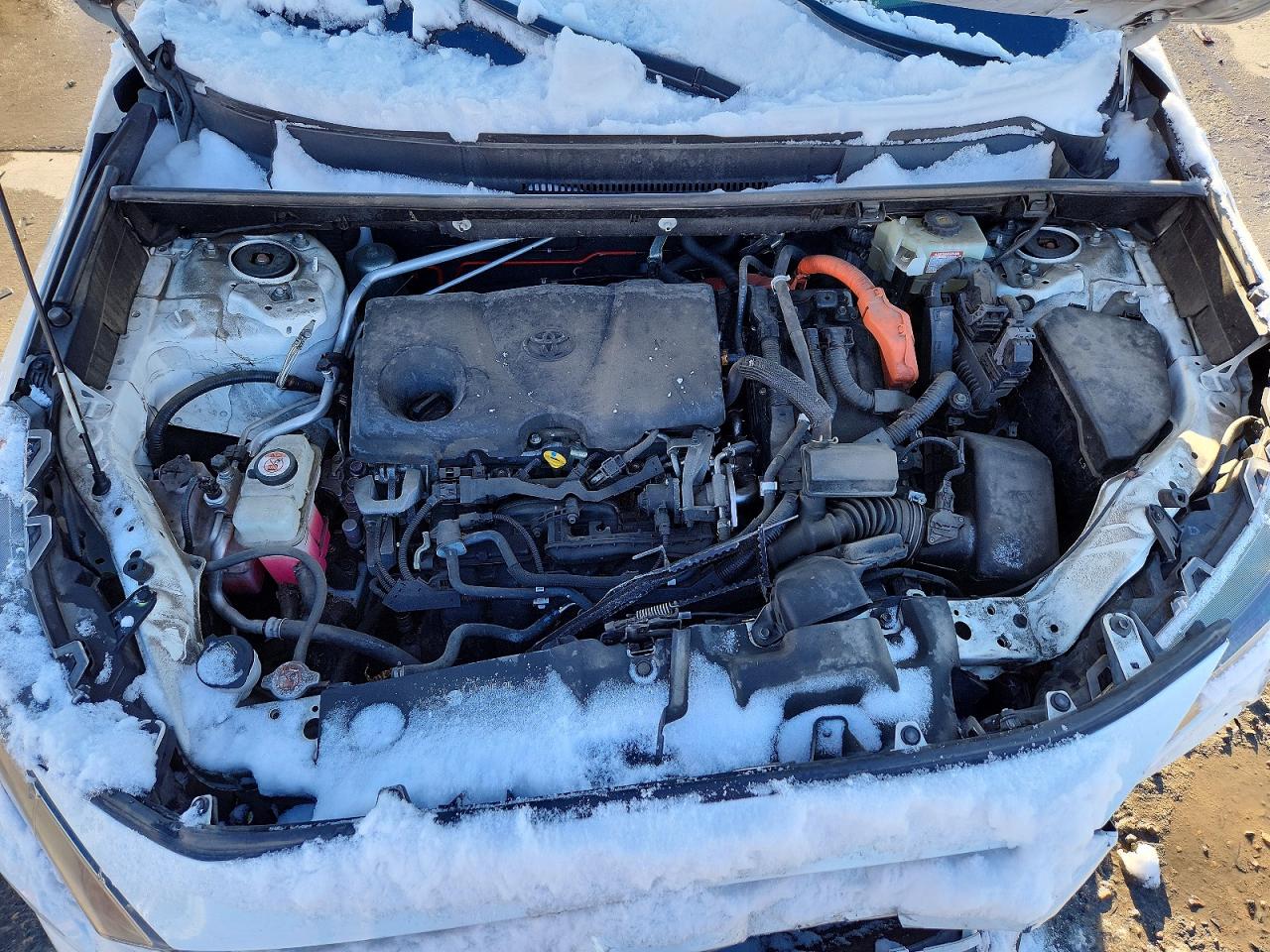 2019 TOYOTA RAV4 LE photo 12
