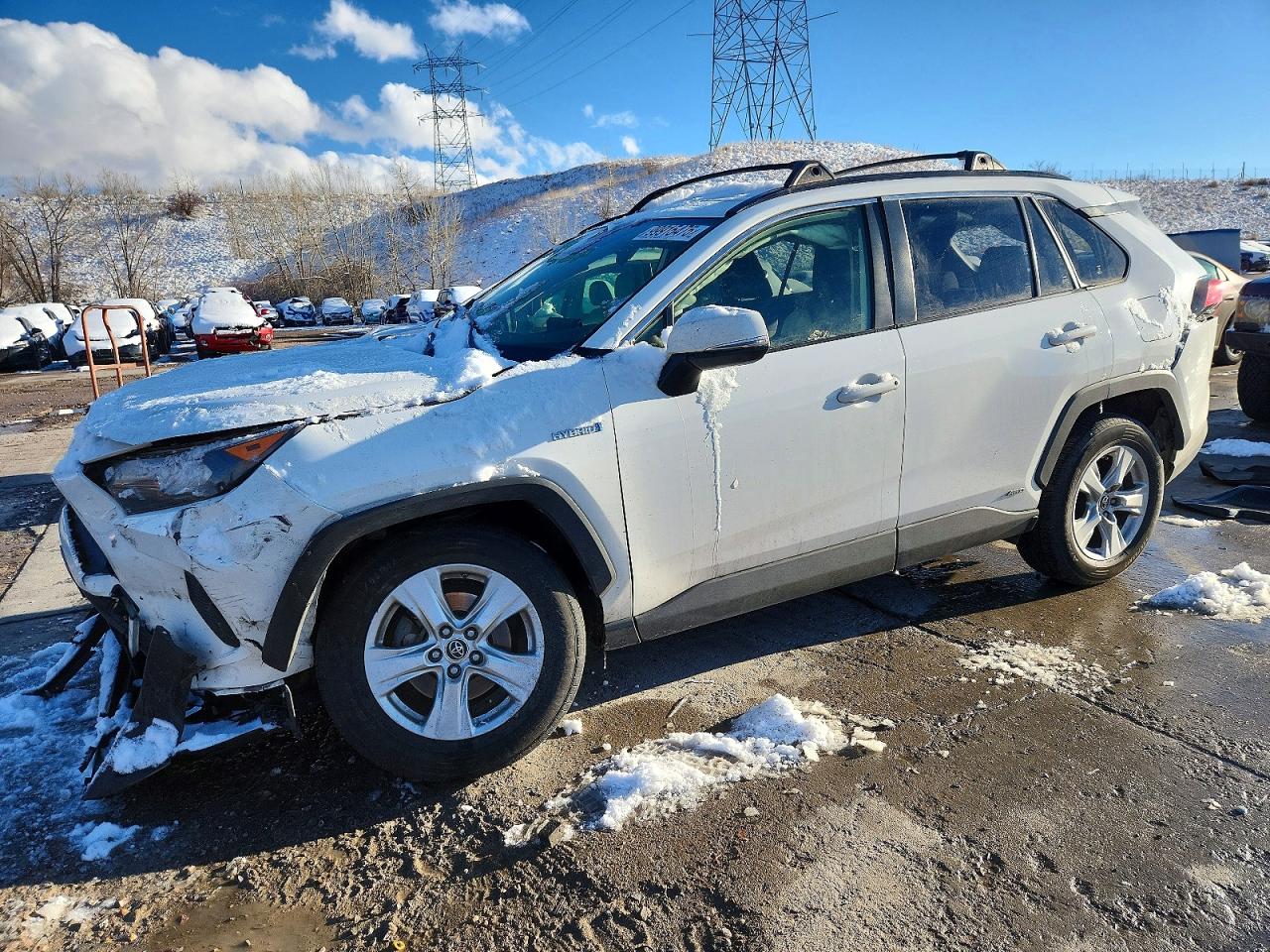 2019 TOYOTA RAV4