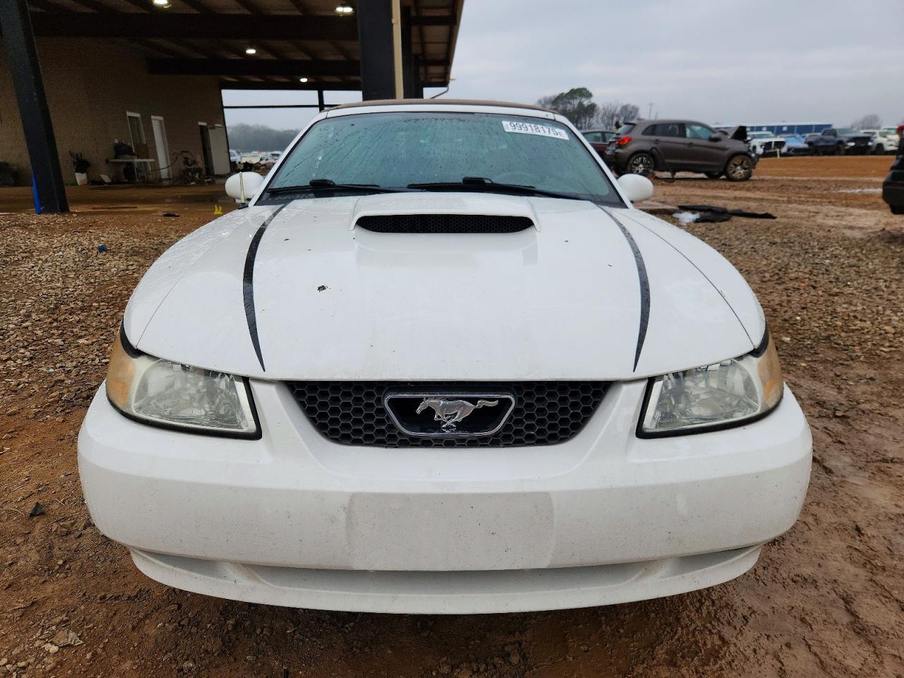 2004 FORD MUSTANG GT photo 5