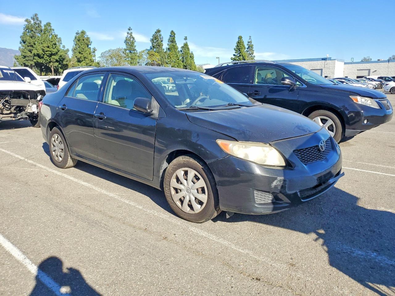 2009 TOYOTA COROLLA BASE photo 4