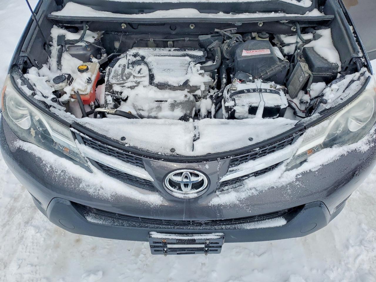 2015 TOYOTA RAV4 XLE photo 12