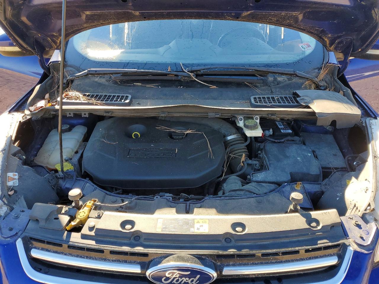 2013 FORD ESCAPE TITANIUM photo 12