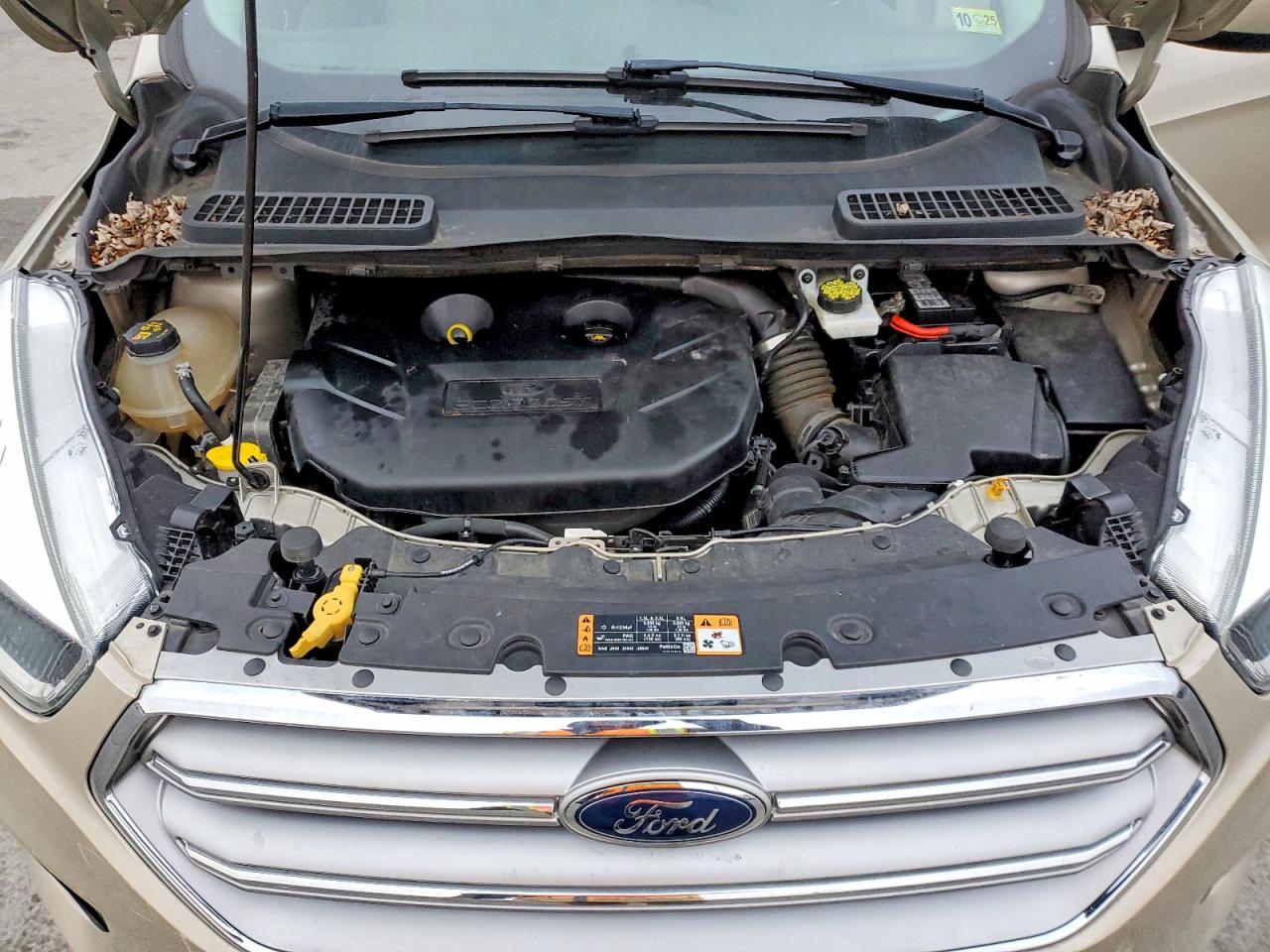 2017 FORD ESCAPE SE photo 12