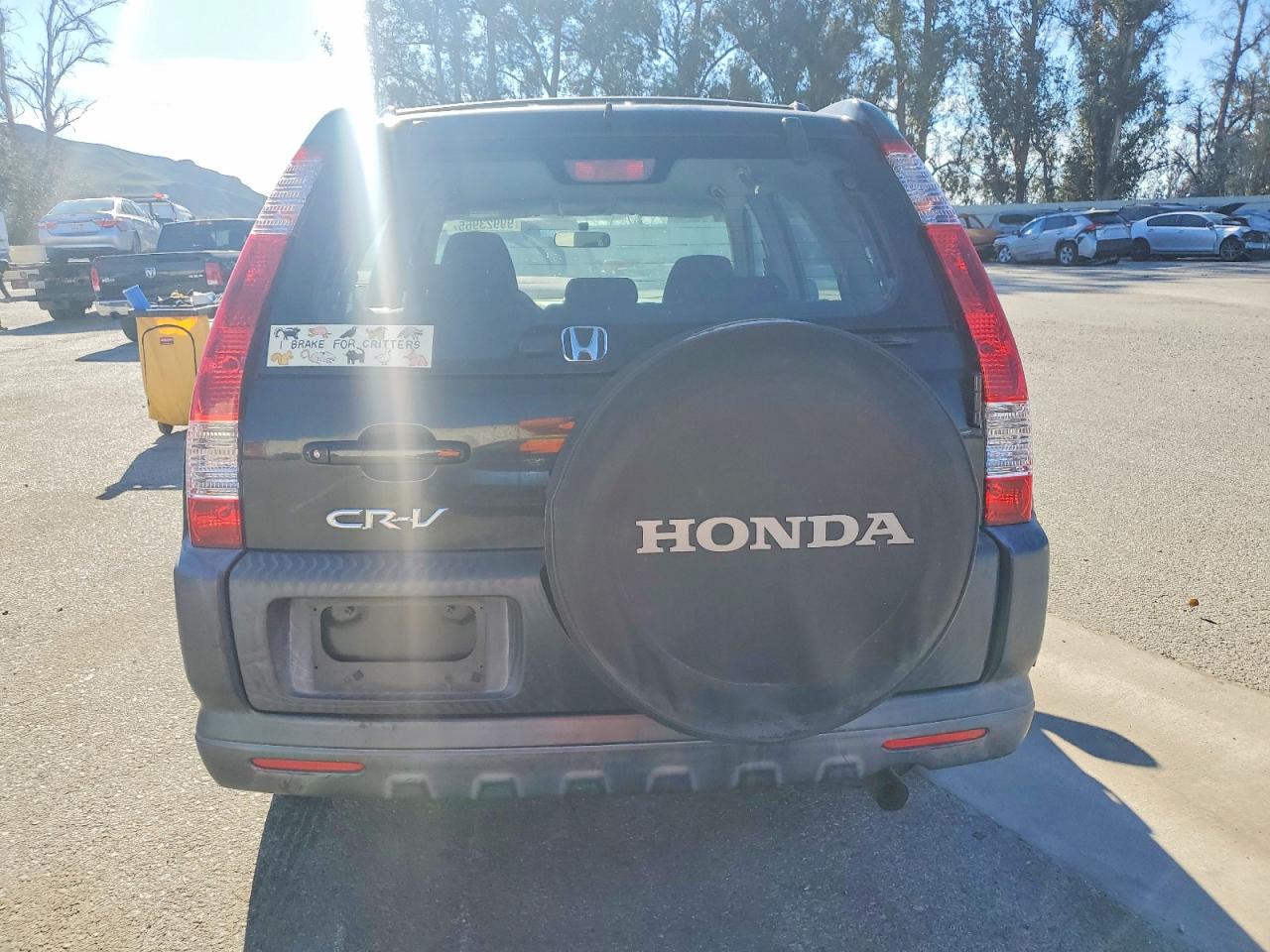 2005 HONDA CR-V LX photo 6
