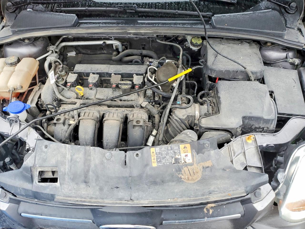 2014 FORD FOCUS SE photo 11