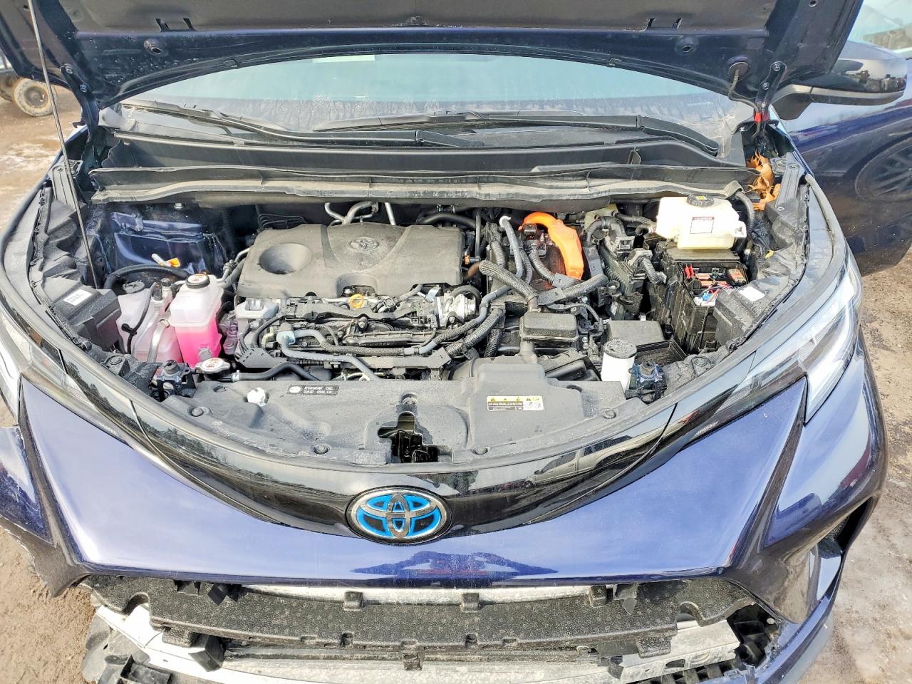 2025 TOYOTA SIENNA LE photo 12