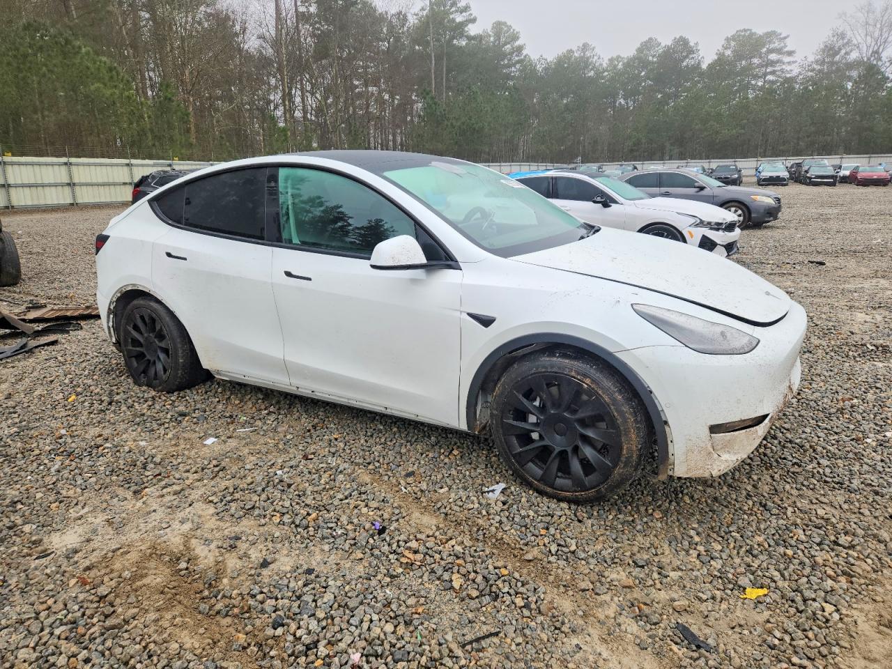 2021 TESLA MODEL Y photo 7