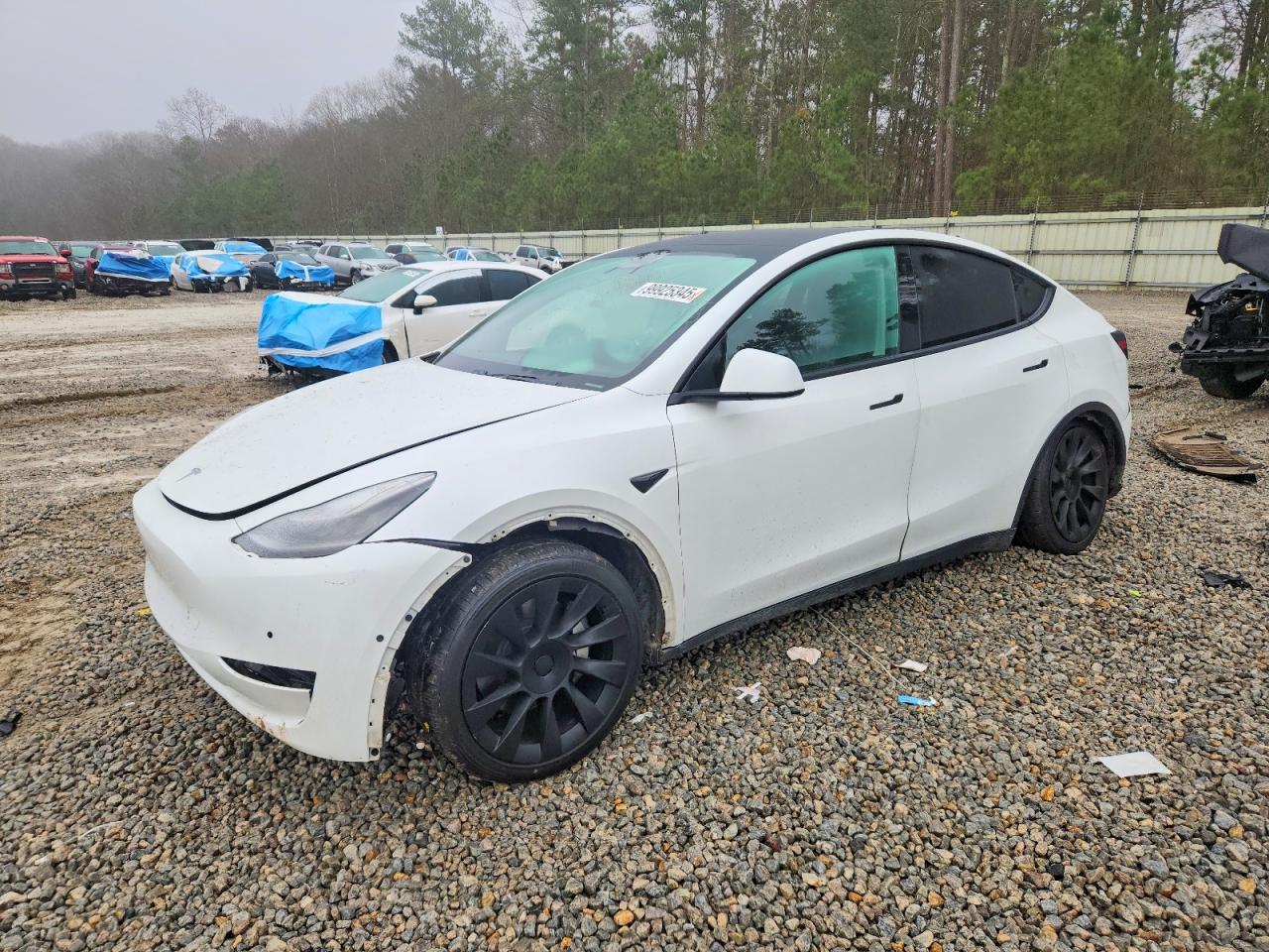 2021 TESLA MODEL Y