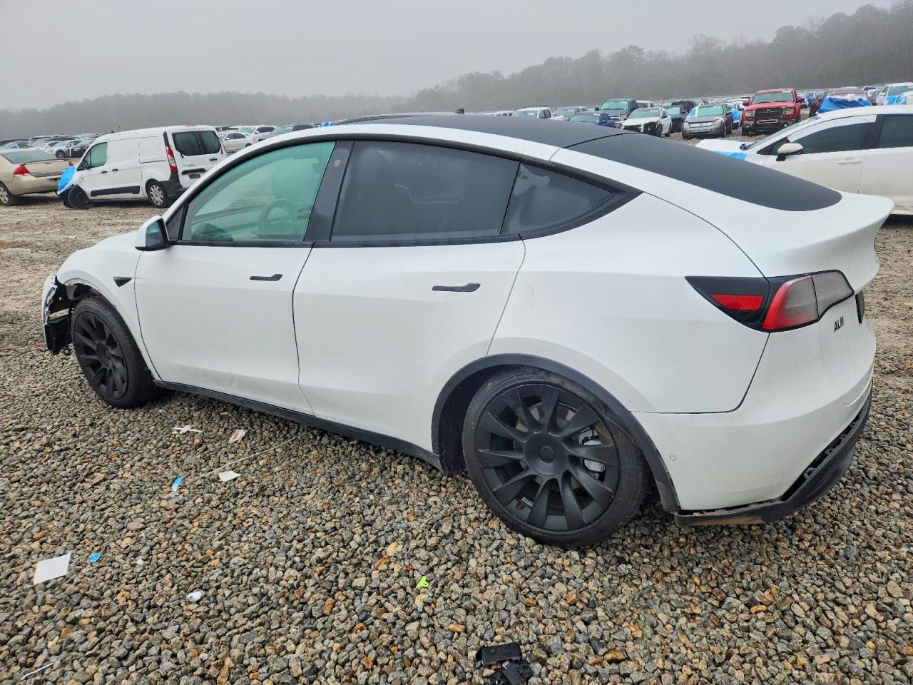 2021 TESLA MODEL Y photo 3