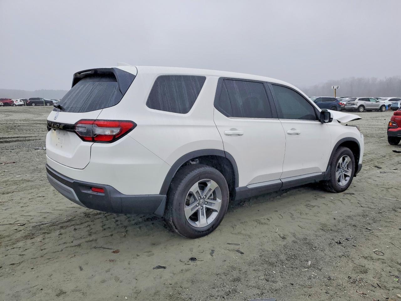 2025 HONDA PILOT EXL photo 3