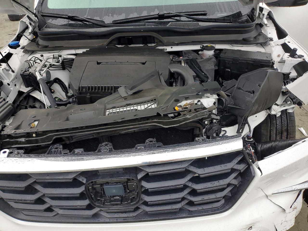 2025 HONDA PILOT EXL photo 12