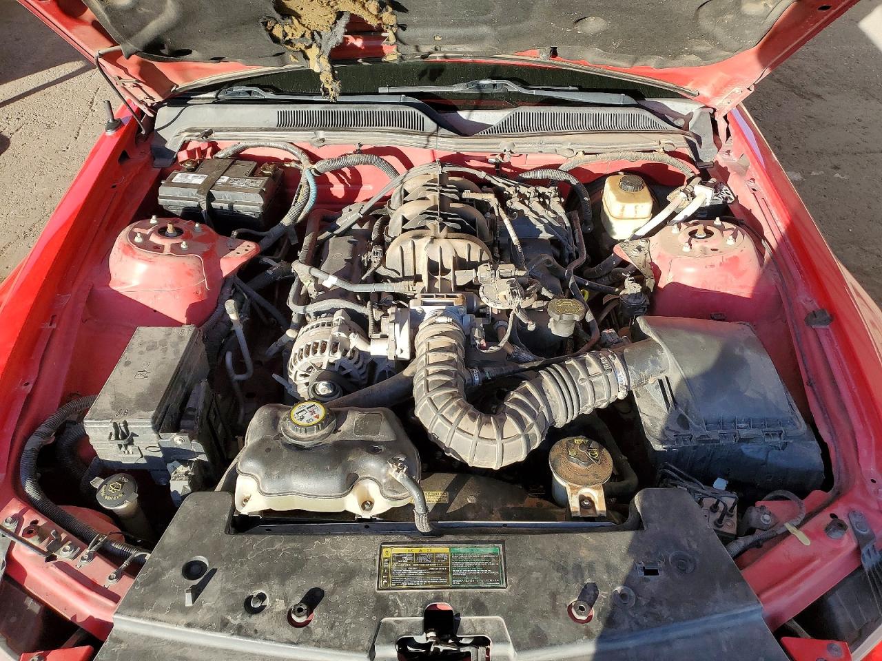 2006 FORD MUSTANG photo 11