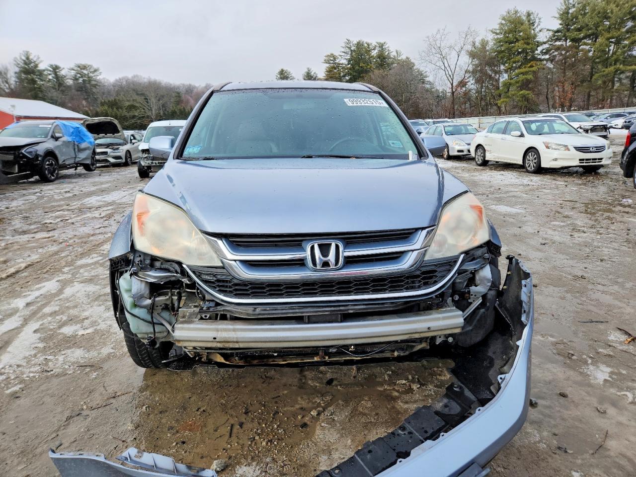 2011 HONDA CR-V EXL photo 5