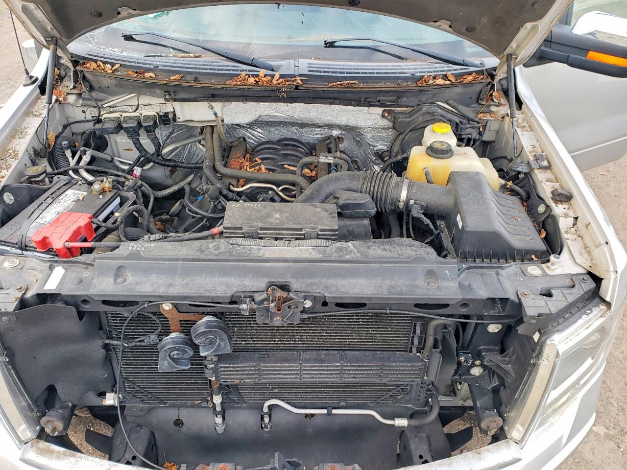 2014 FORD F150 SUPERCREW photo 11