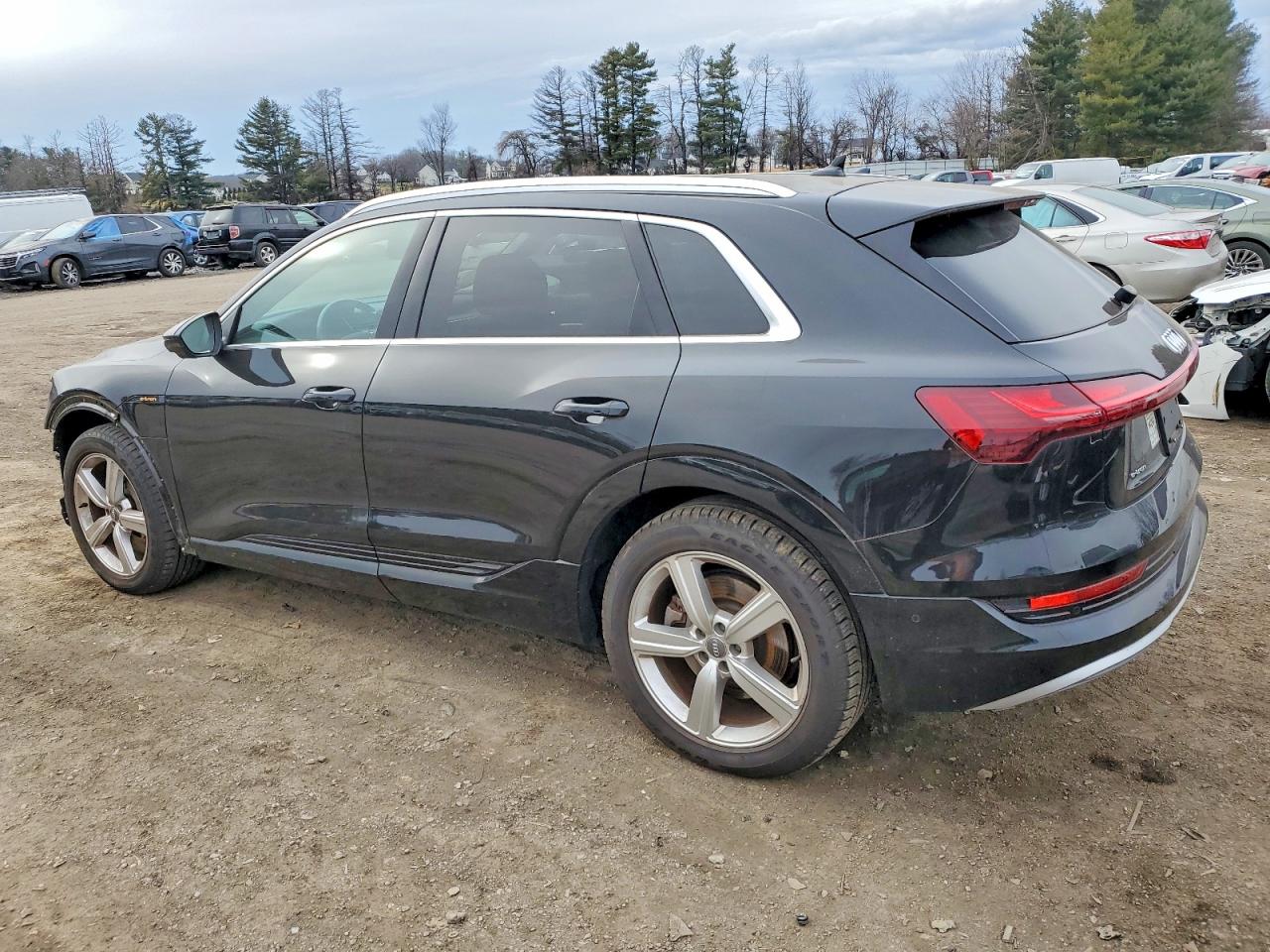 2019 AUDI E-TRON PREMIUM PLUS photo 2