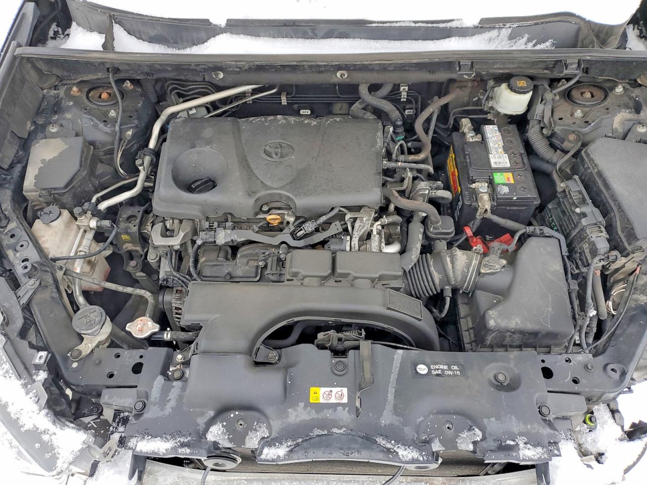 2019 TOYOTA RAV4 LE photo 11