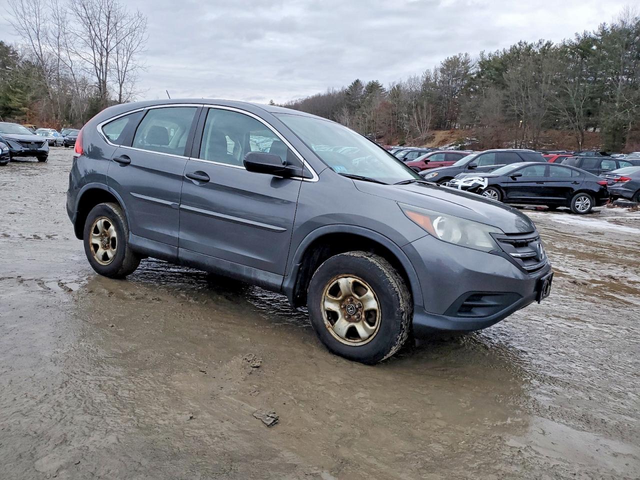 2013 HONDA CR-V LX photo 4