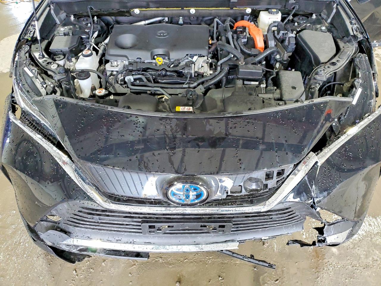 2022 TOYOTA VENZA LE photo 12
