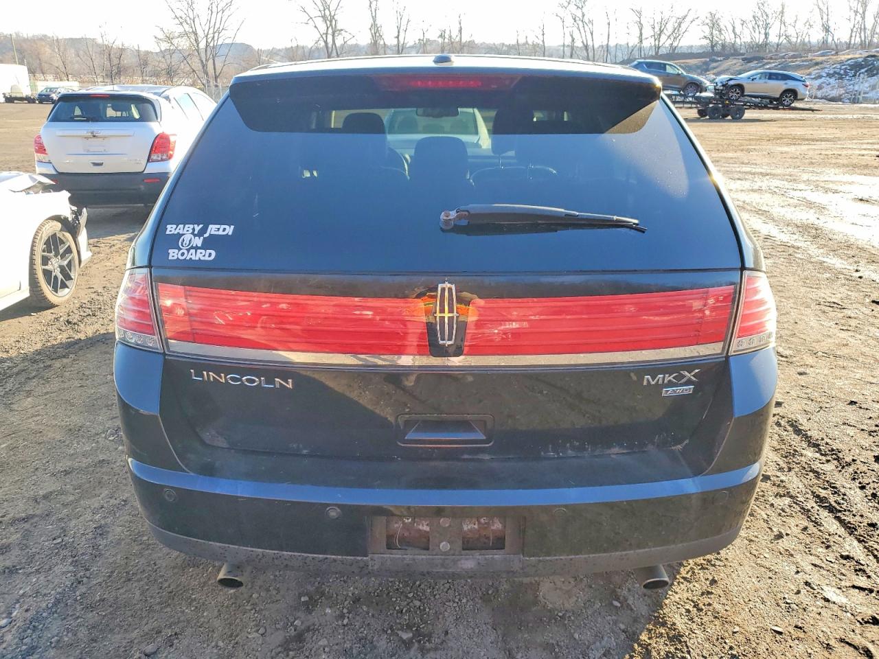 2010 LINCOLN MKX photo 6