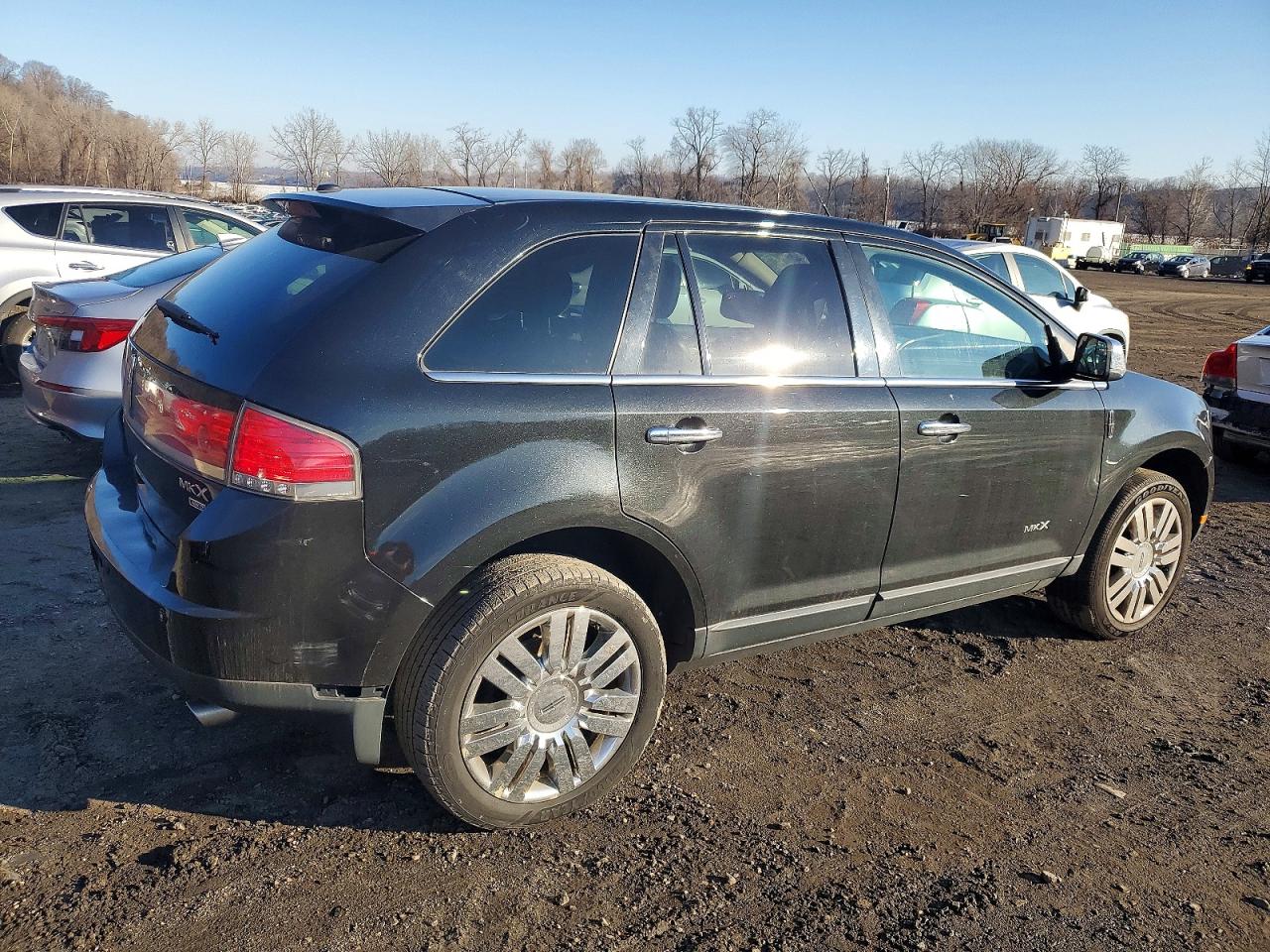 2010 LINCOLN MKX photo 3