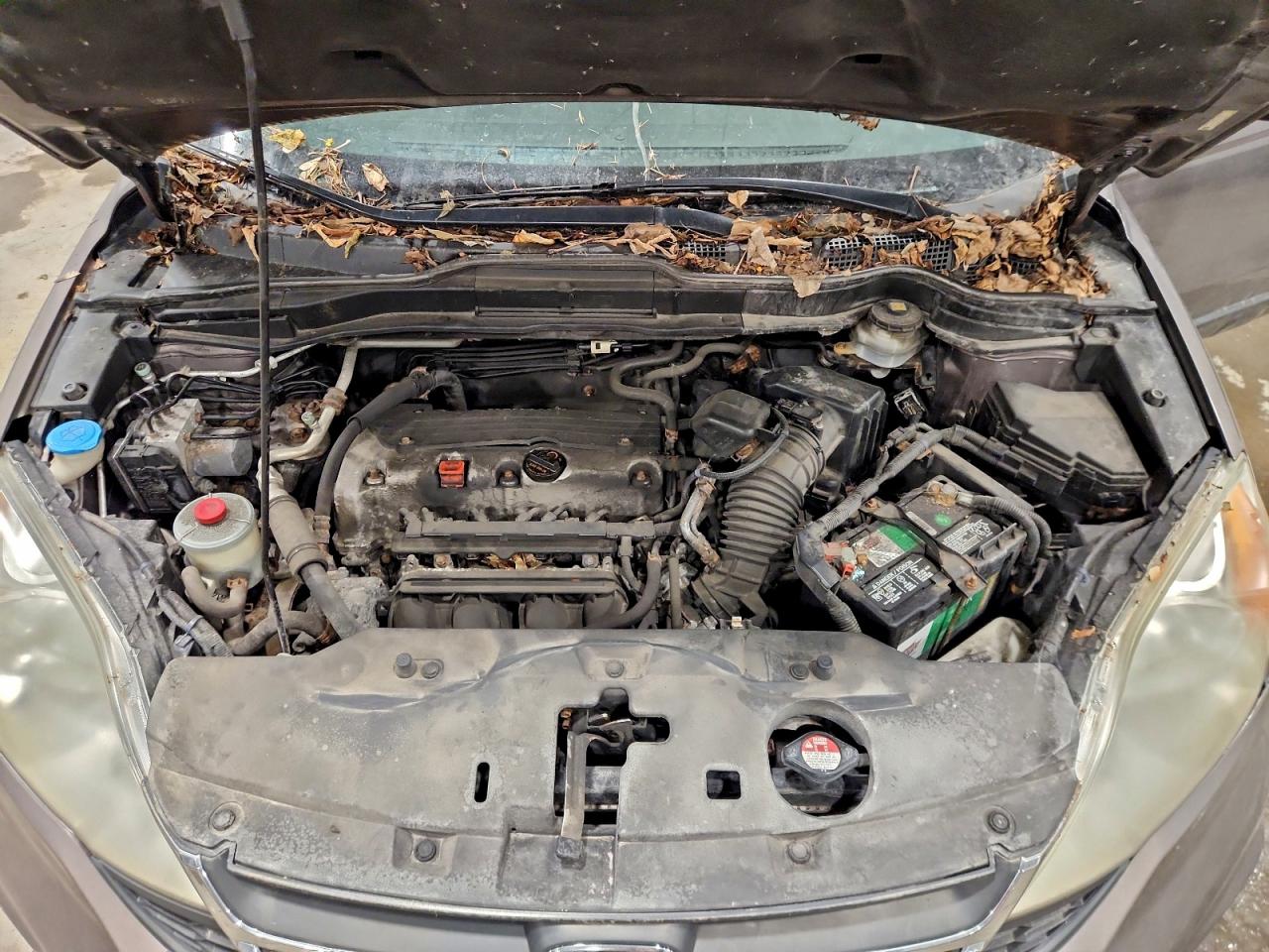 2011 HONDA CR-V LX photo 12