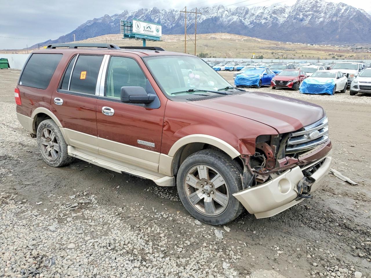 2007 FORD EXPEDITION EDDIE BAUER photo 4