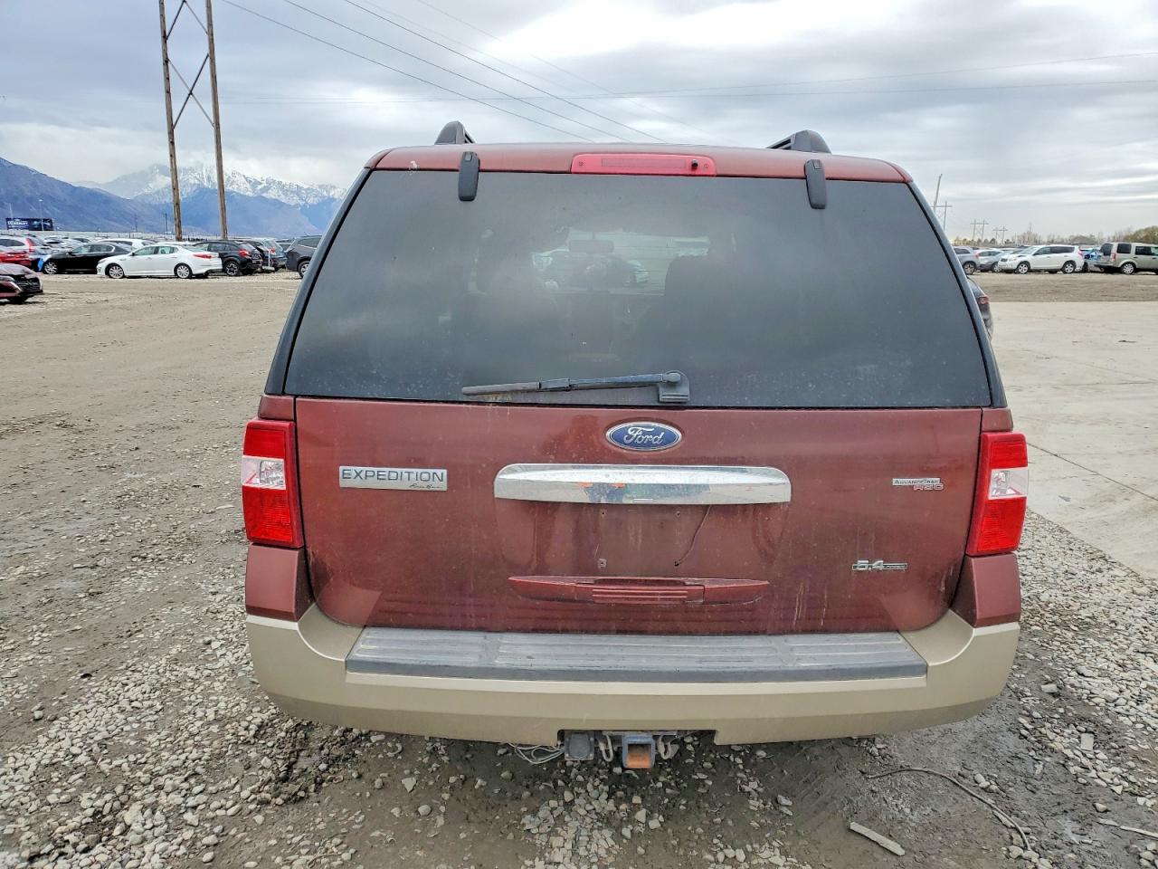 2007 FORD EXPEDITION EDDIE BAUER photo 6