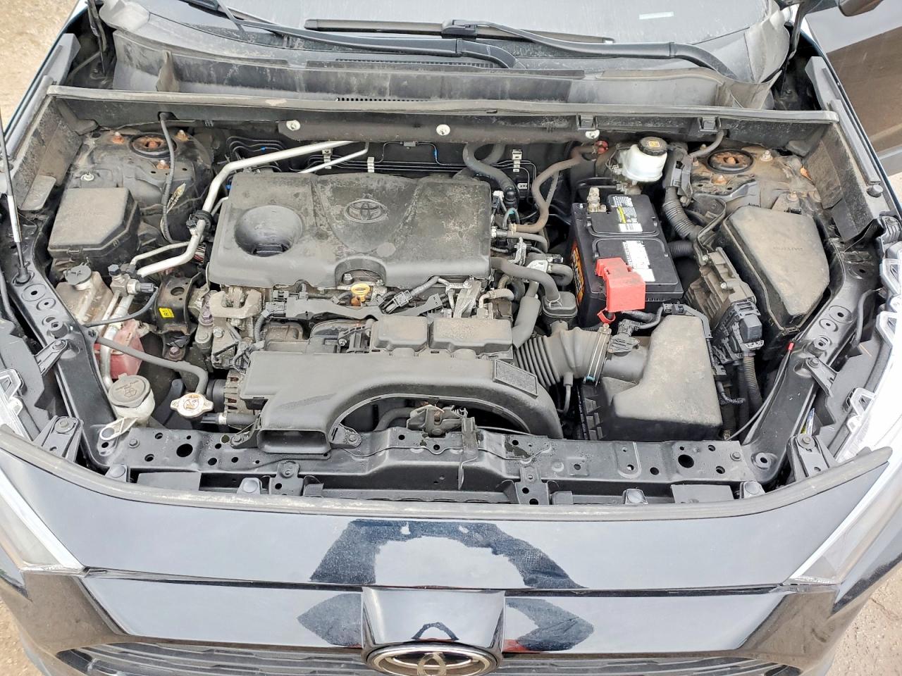 2019 TOYOTA RAV4 LE photo 12