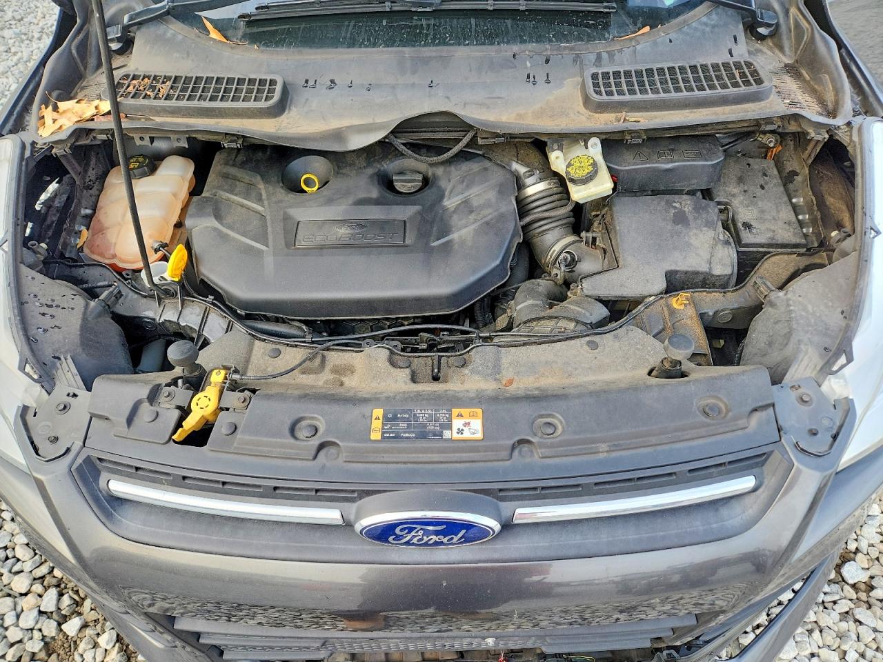 2016 FORD ESCAPE SE photo 11