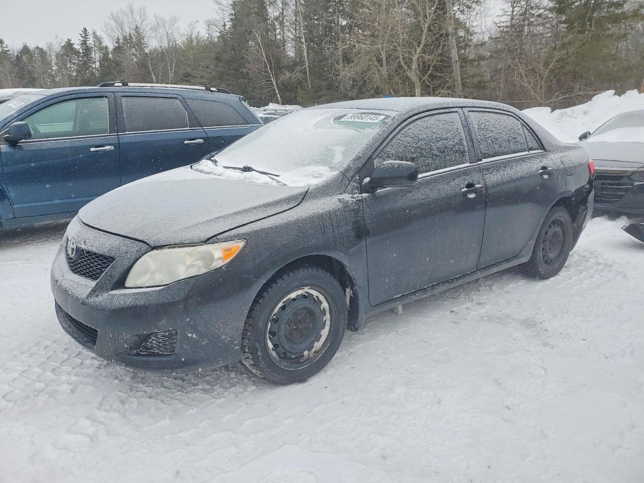 2010 TOYOTA COROLLA