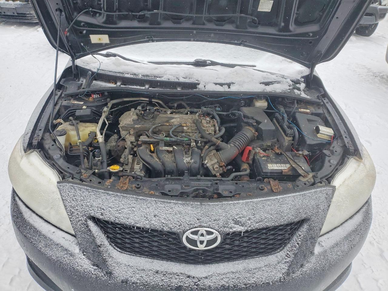 2010 TOYOTA COROLLA BASE photo 11