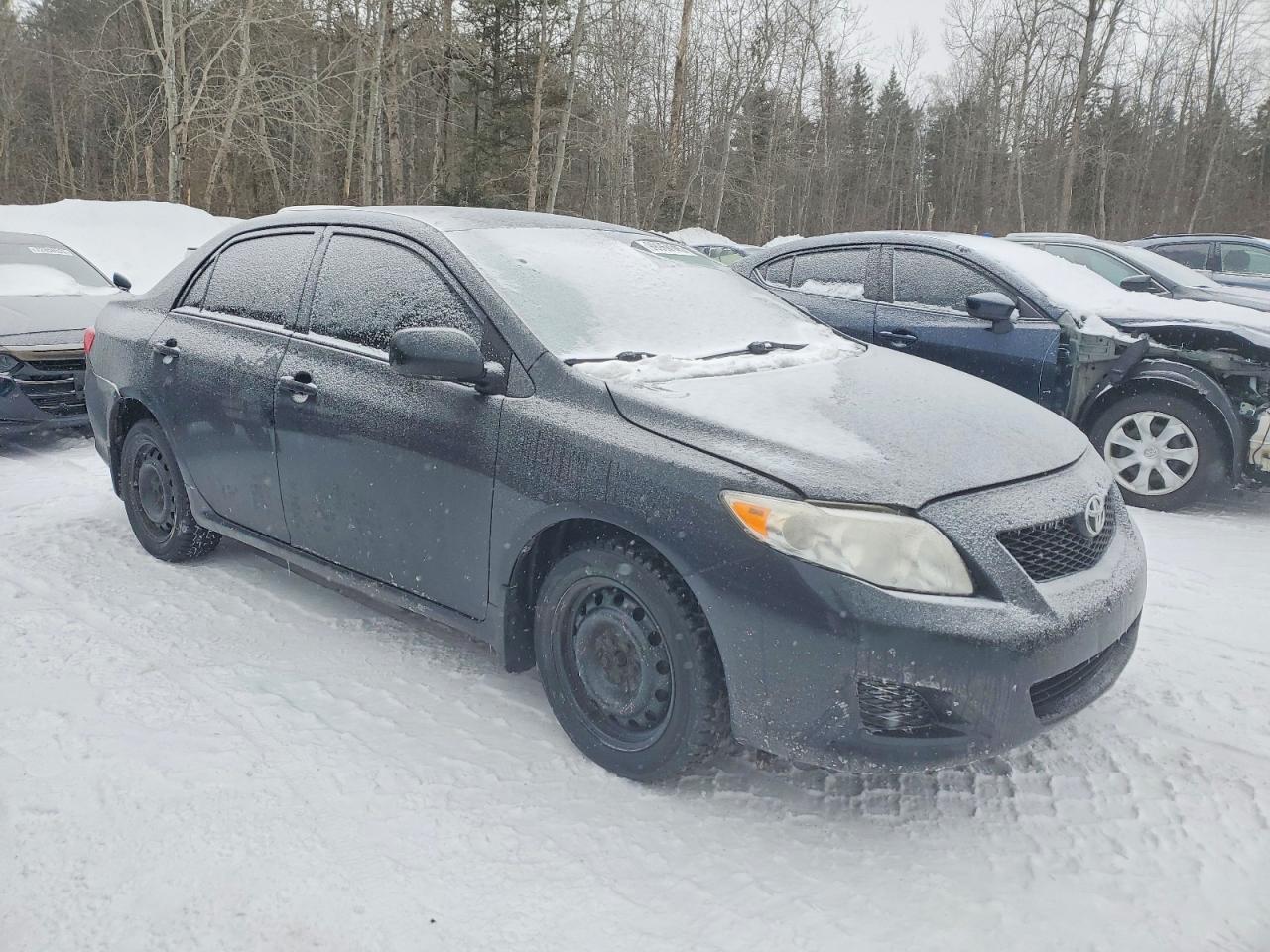 2010 TOYOTA COROLLA BASE photo 4