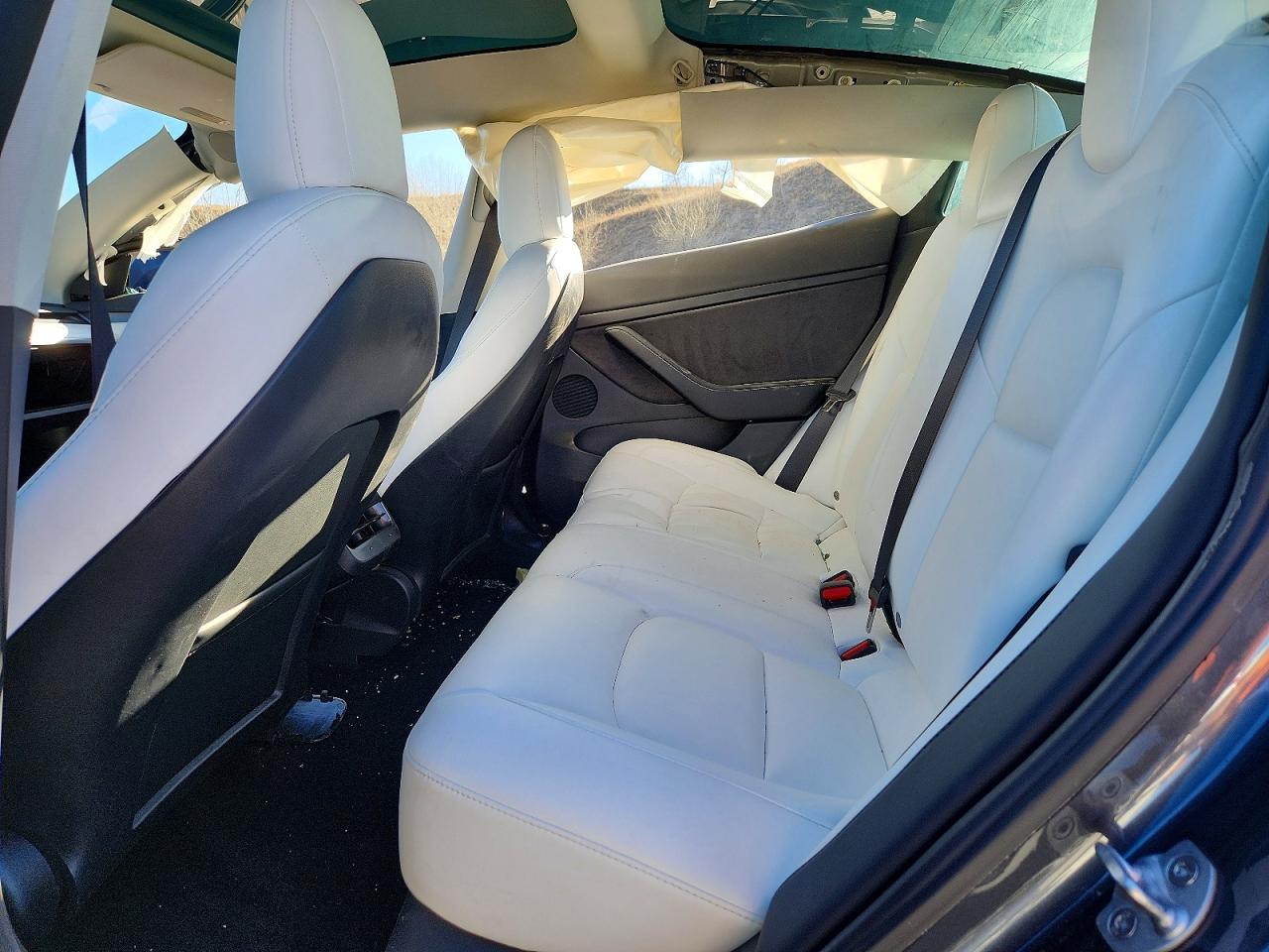 2022 TESLA MODEL 3 photo 10