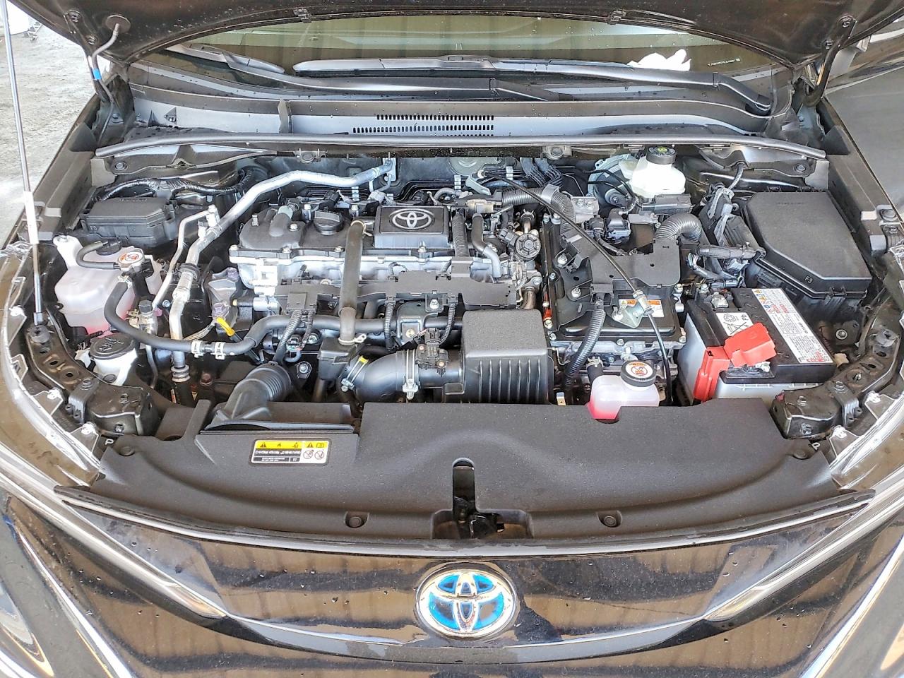 2025 TOYOTA COROLLA LE photo 11
