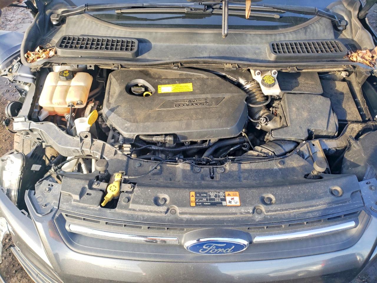 2015 FORD ESCAPE SE photo 12
