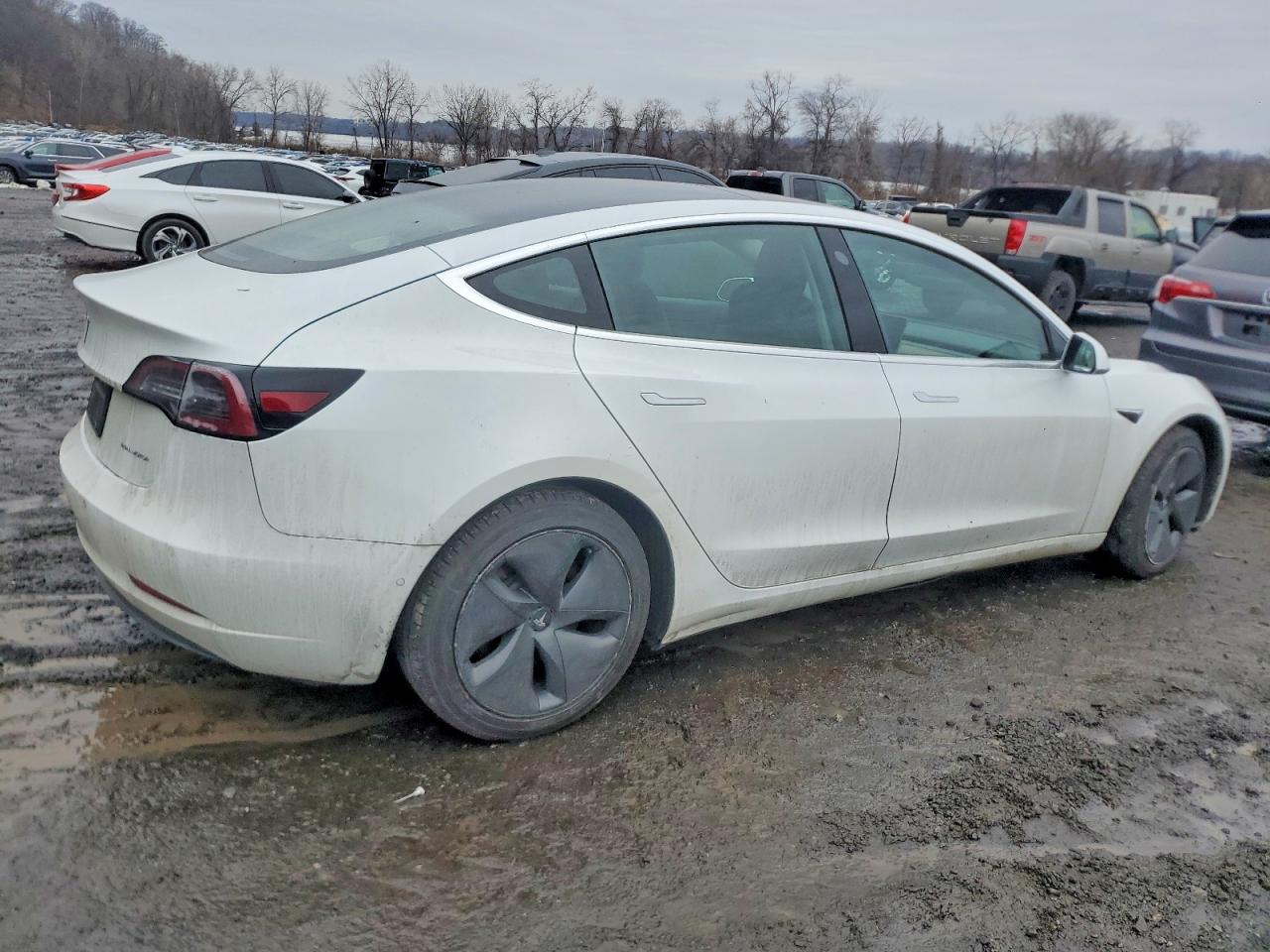 2020 TESLA MODEL 3 photo 3