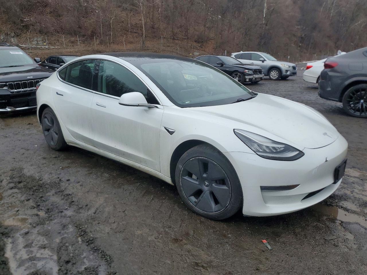 2020 TESLA MODEL 3 photo 4