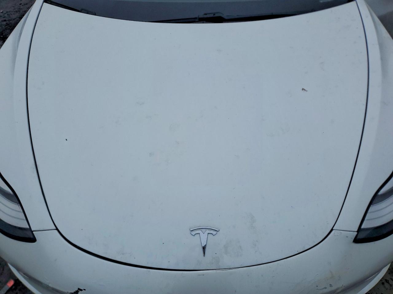 2020 TESLA MODEL 3 photo 11