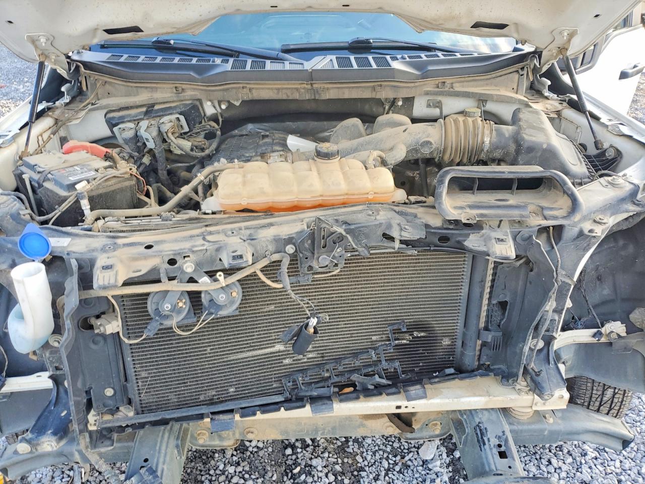2021 FORD F150 SUPER CAB photo 11