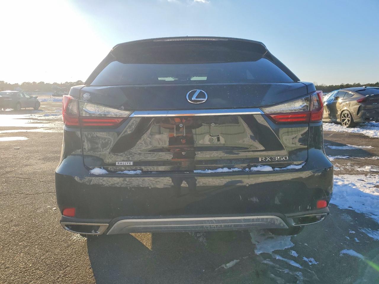 2021 LEXUS RX 350 photo 6